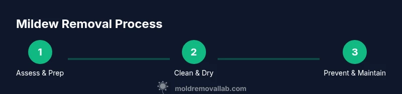 Infographic showing steps to remove mildew