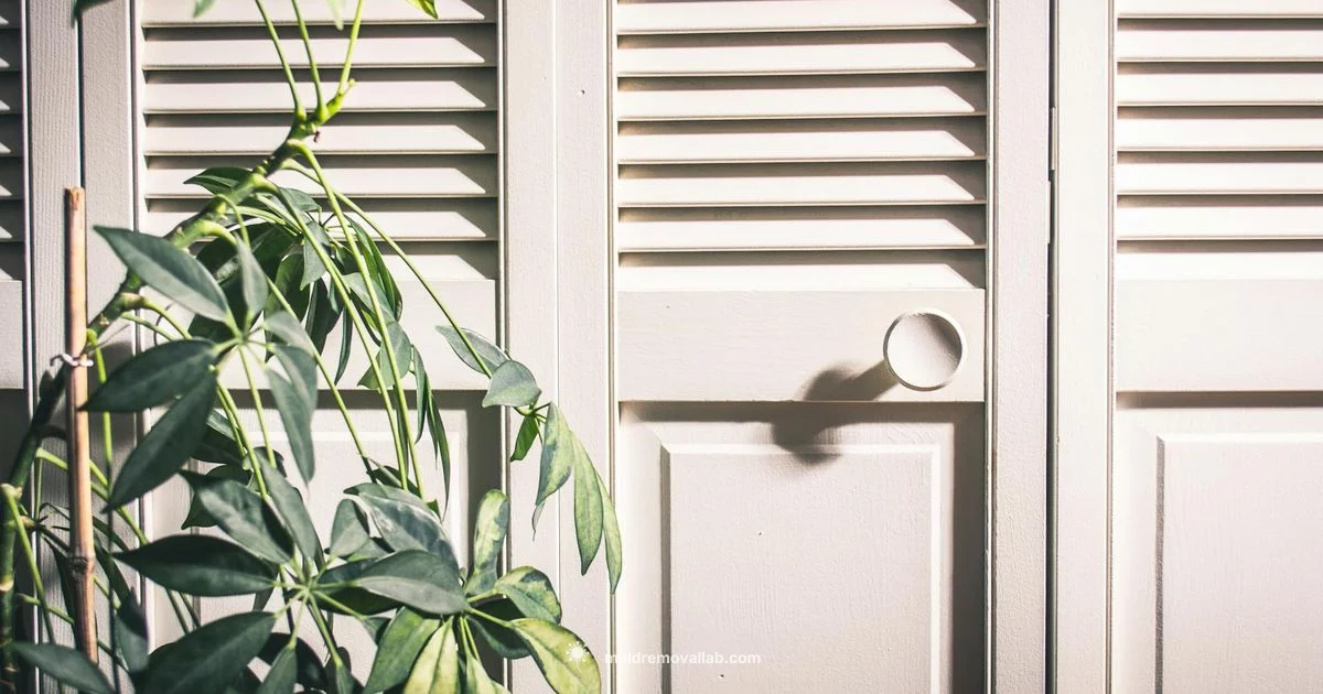 Mould Odor Guide Mould Odor Guide - Mold Removal Lab