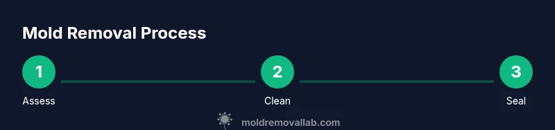 Three-step process showing assess, clean, seal for removing mold from shower grout