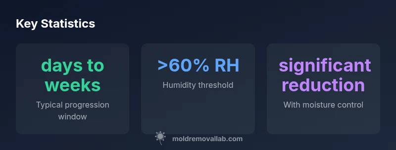 Infographic showing mildew to mold progression timeline