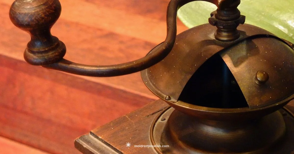 Mold Free Coffee - Mold Removal Lab