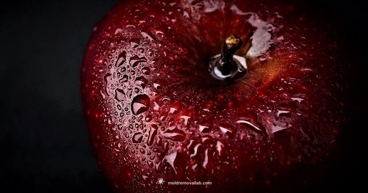 Fruit Mold Safety - Mold Removal Lab