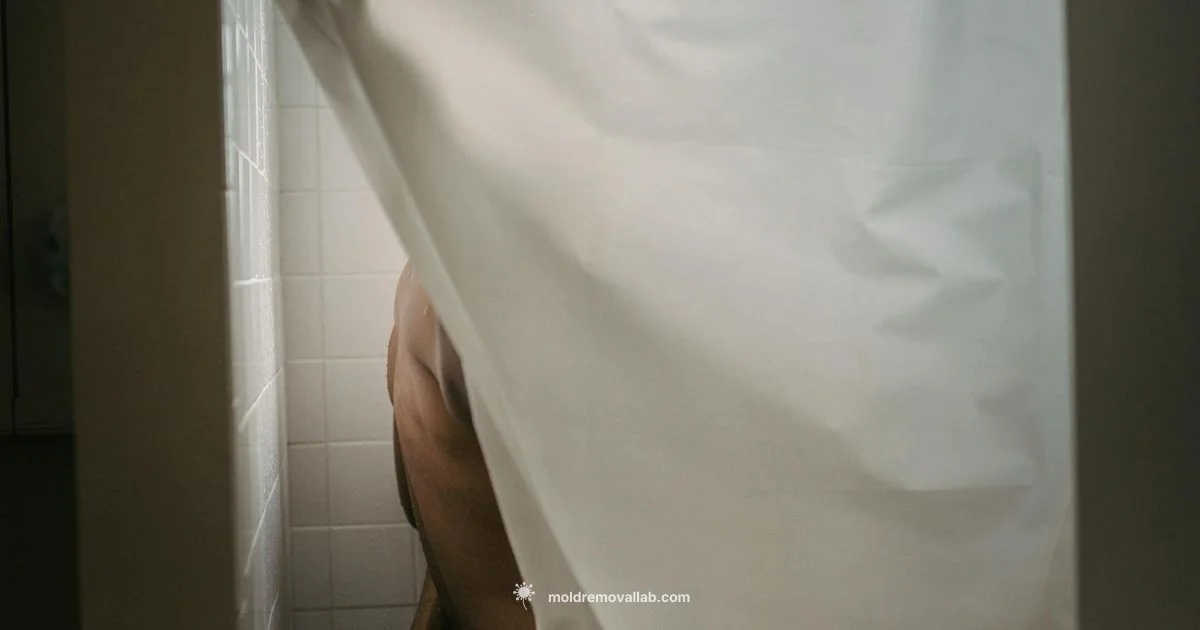 Mold-Free Shower Curtain - Mold Removal Lab