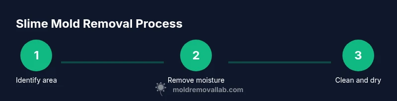 Infographic showing a 3-step process for slime mold removal with moisture control