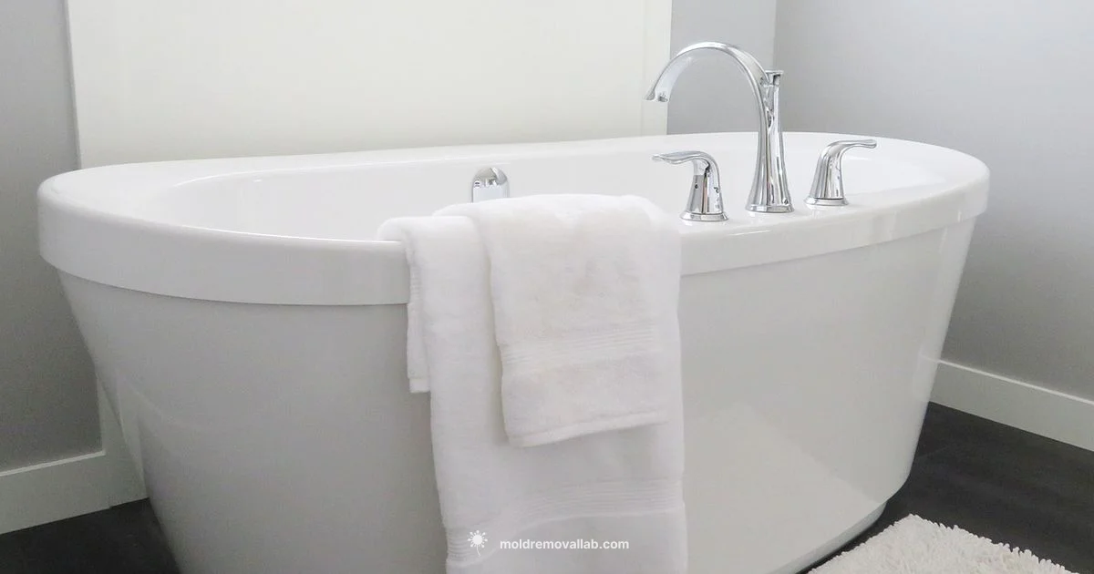 Mold Prevention in the Toilet Tank - Mold Removal Lab