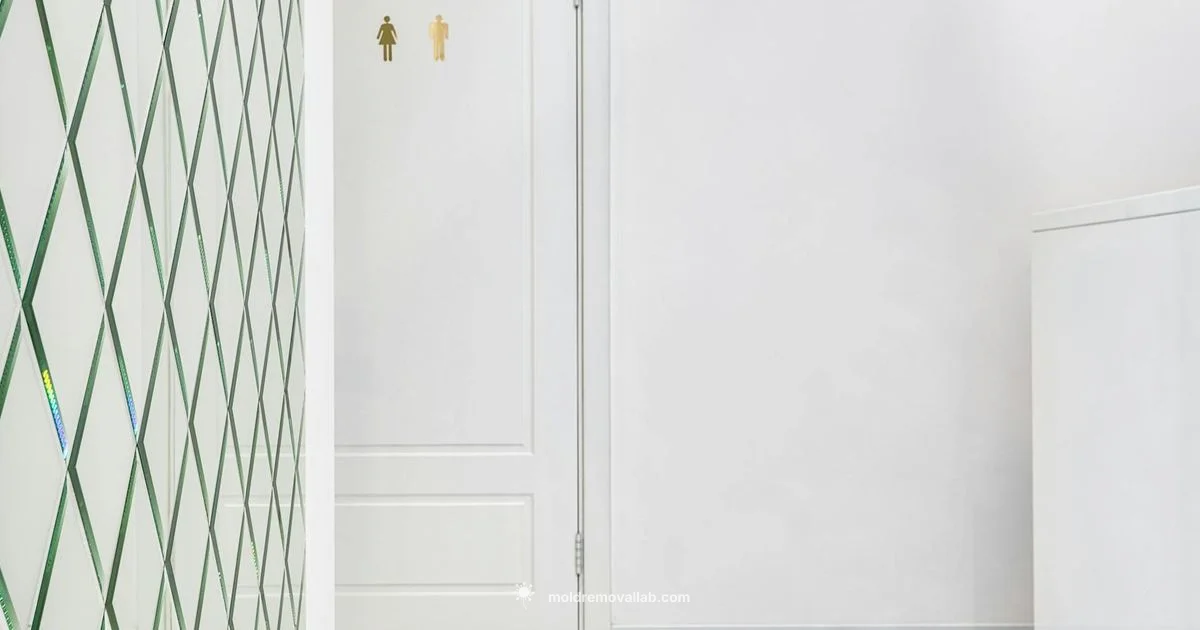 Black Mildew Remediation Black Mildew Remediation - Mold Removal Lab