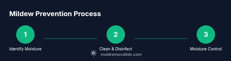 Three-step process to identify, clean, and prevent black mildew