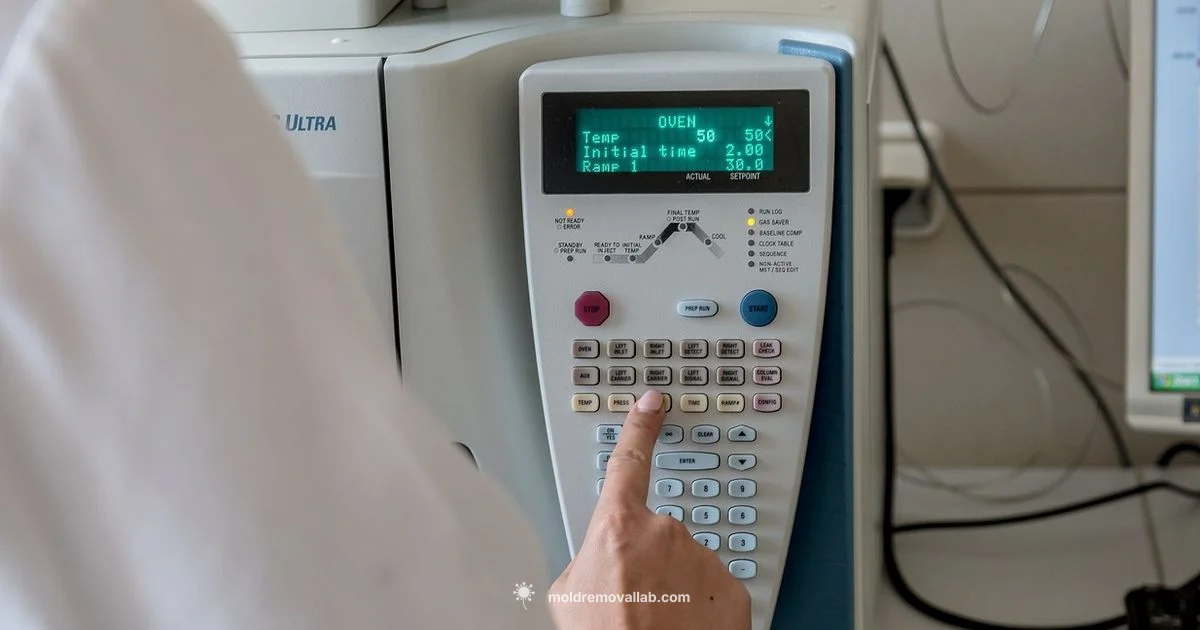 Mold Exposure Testing - Mold Removal Lab