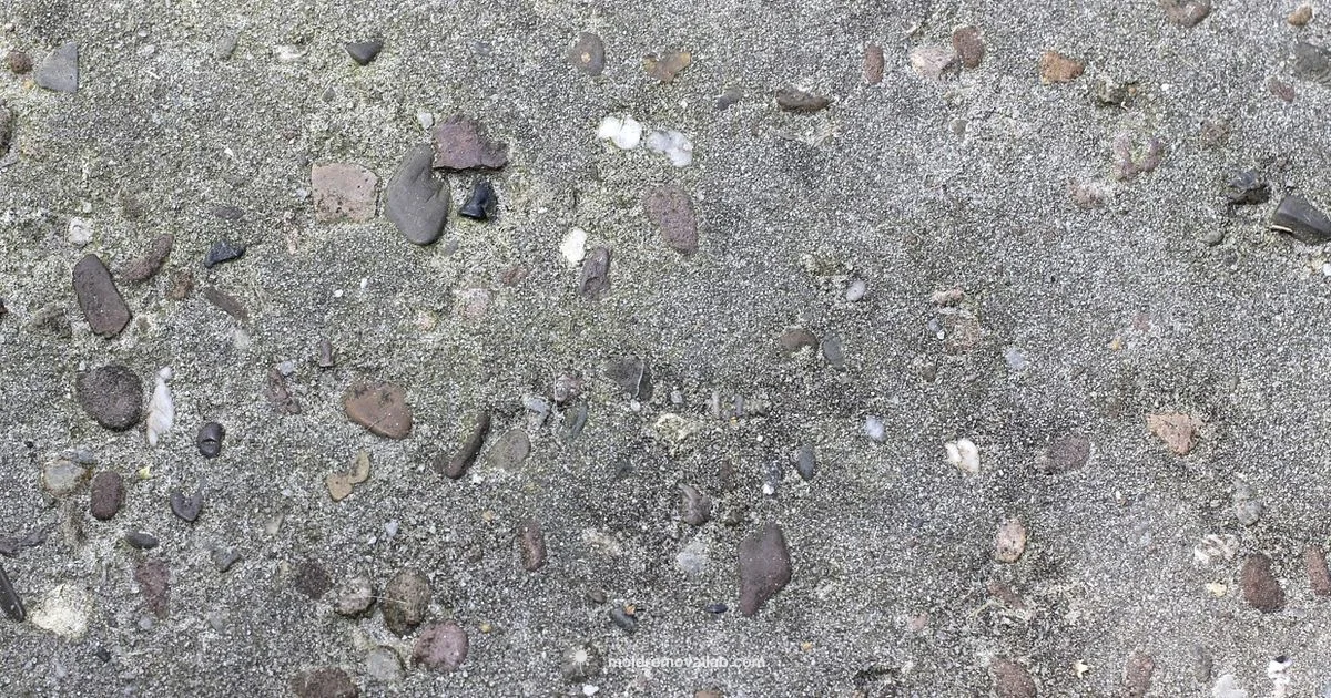 Concrete Mold Stepping Stone - Mold Removal Lab