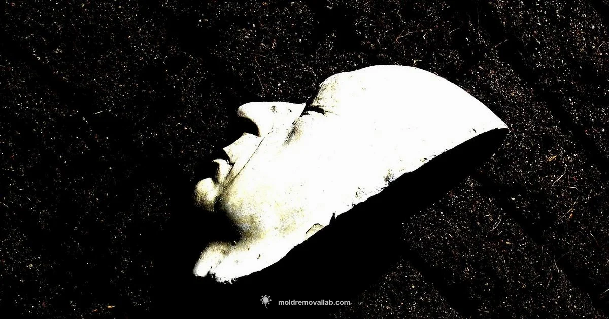 Silicone Molds with Plaster - Mold Removal Lab