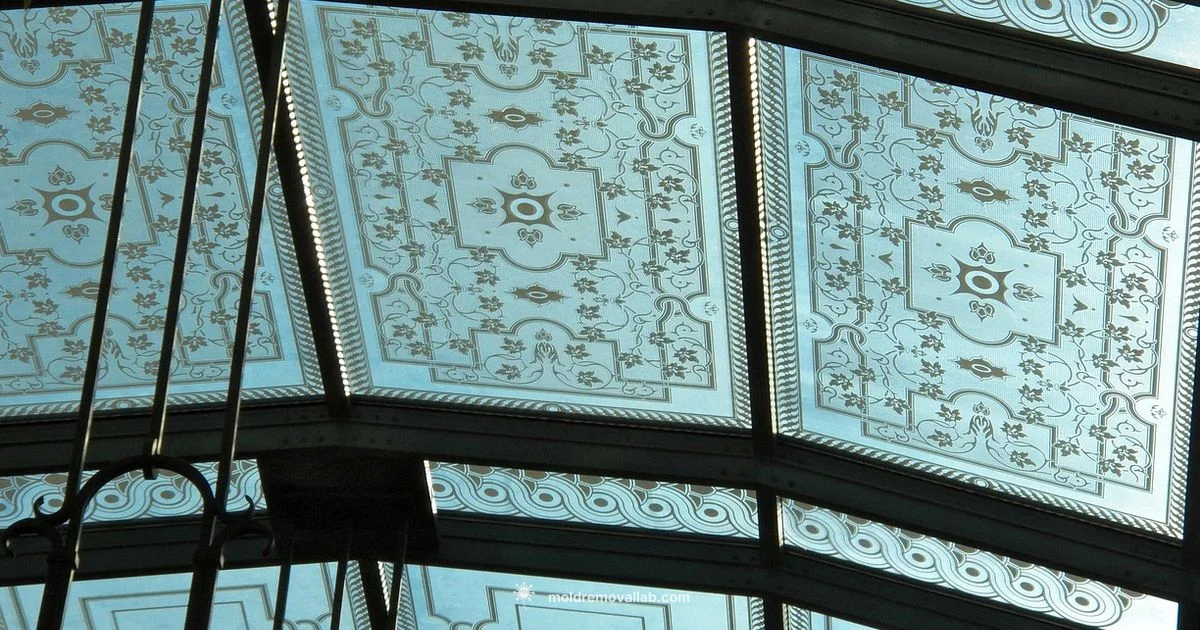 Ceiling Mold Cleanup - Mold Removal Lab