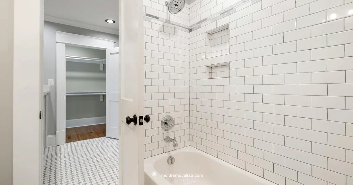 Mold Cleanup Guide - Mold Removal Lab