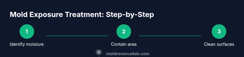 Process infographic showing steps to treat mold exposure