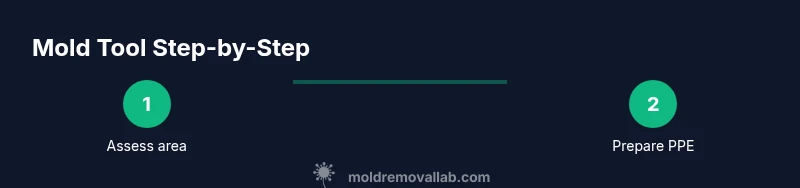 Tailwind infographic showing steps to use a mold tool