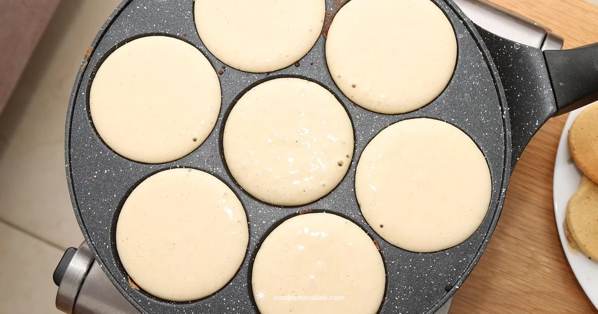 Pancake Mold Guide - Mold Removal Lab