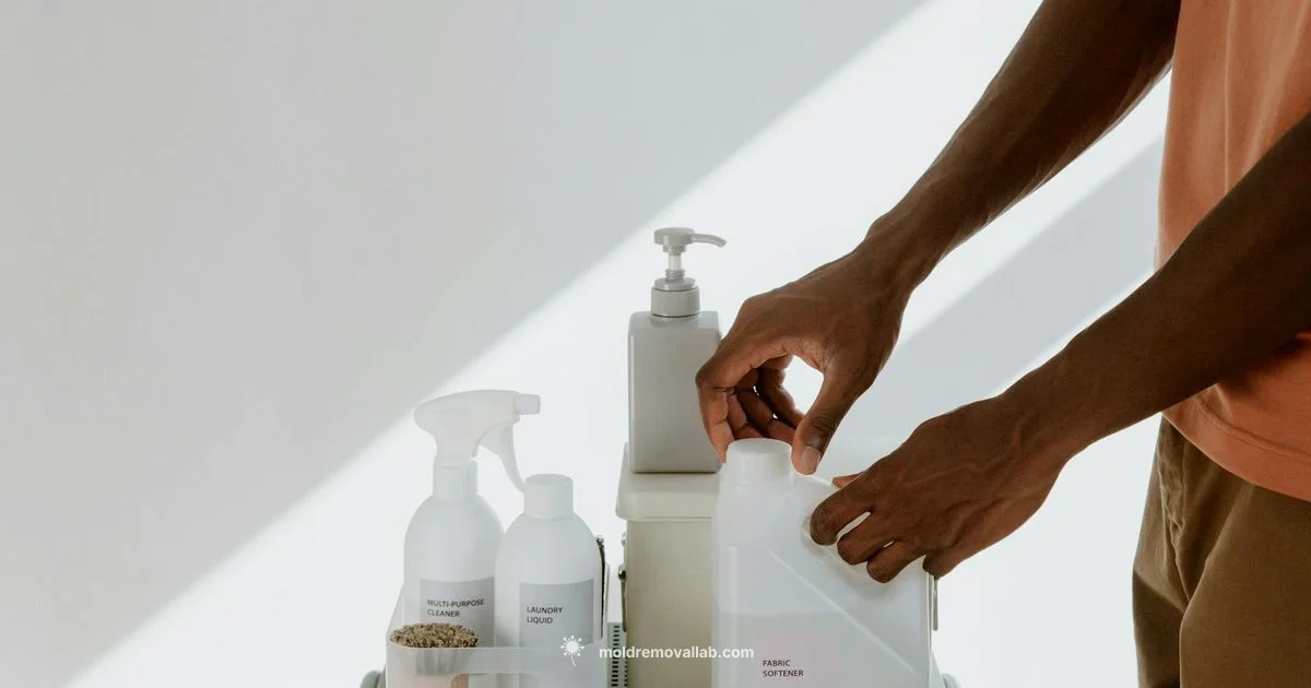 Mold Clean-Up Guide - Mold Removal Lab