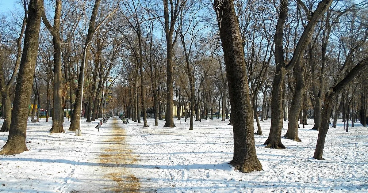 Moldova Location Moldova Location - Mold Removal Lab