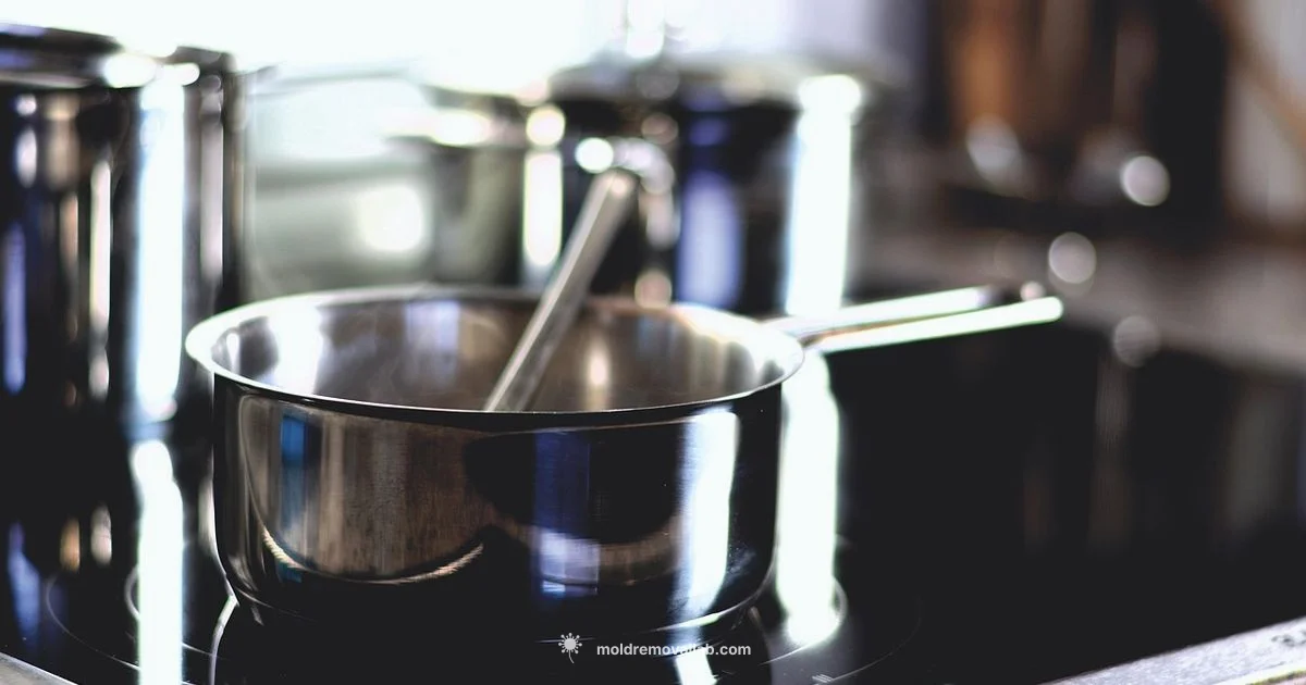 Pot Mold Guide - Mold Removal Lab