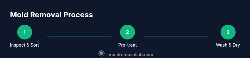 Process steps for removing mold from clothes using mold clothes detergent