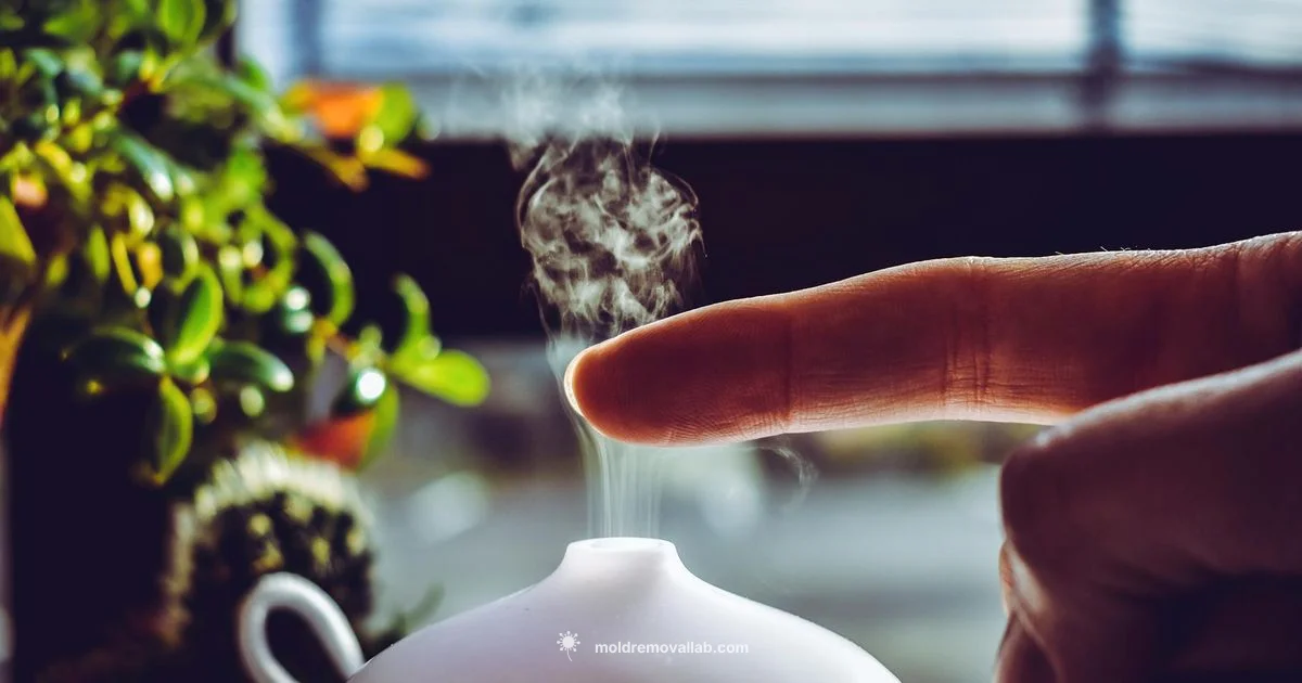 Humidifier Mold Guide - Mold Removal Lab