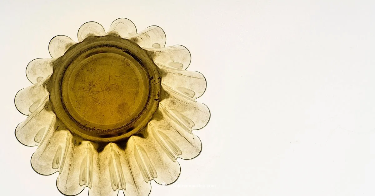 Mold Inspection Guide - Mold Removal Lab