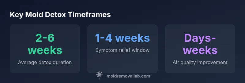 Infographic showing mold detox timeframes