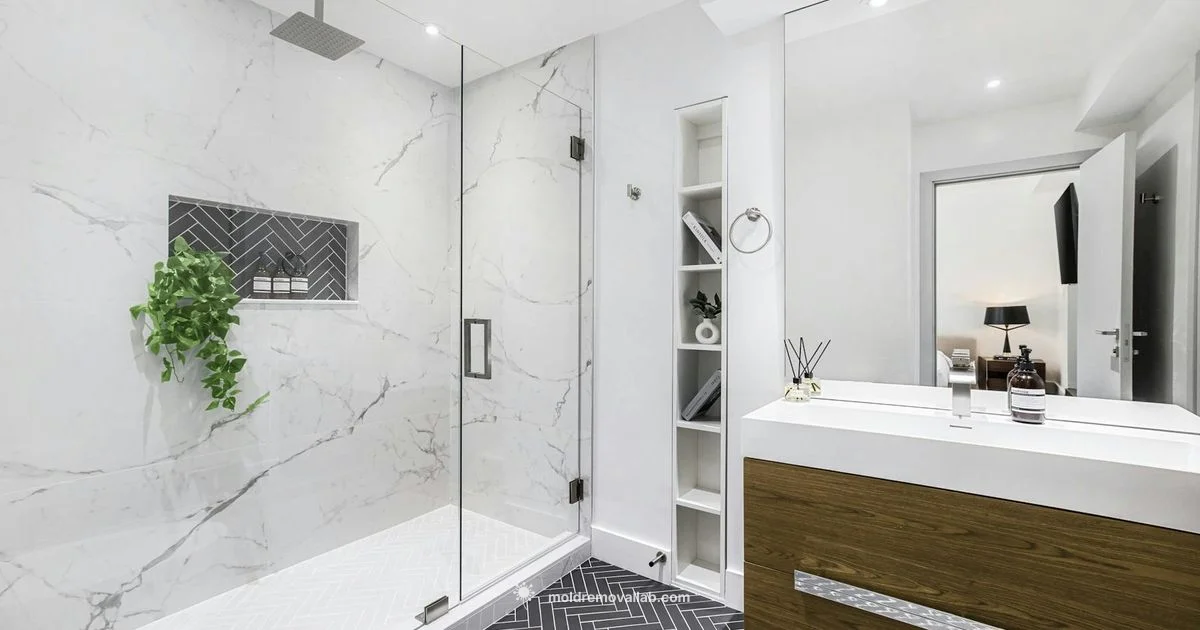 Shower Mold Guide - Mold Removal Lab