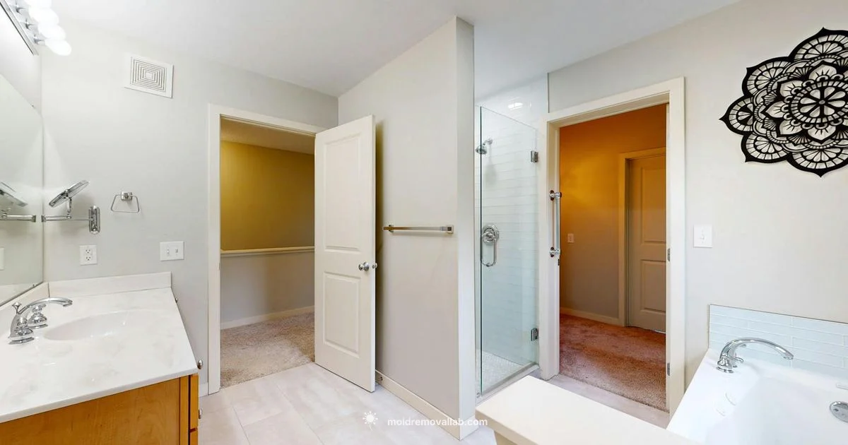 Mold & Baking Soda Guide - Mold Removal Lab