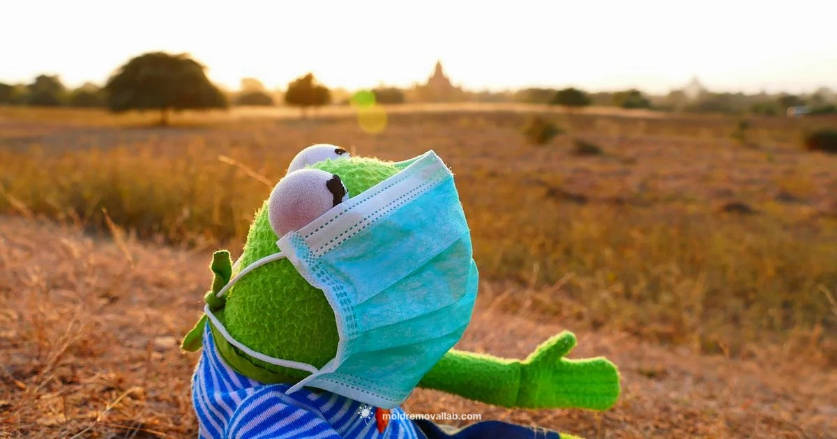 Mouth Guard Mold Guide Mouth Guard Mold Guide - Mold Removal Lab