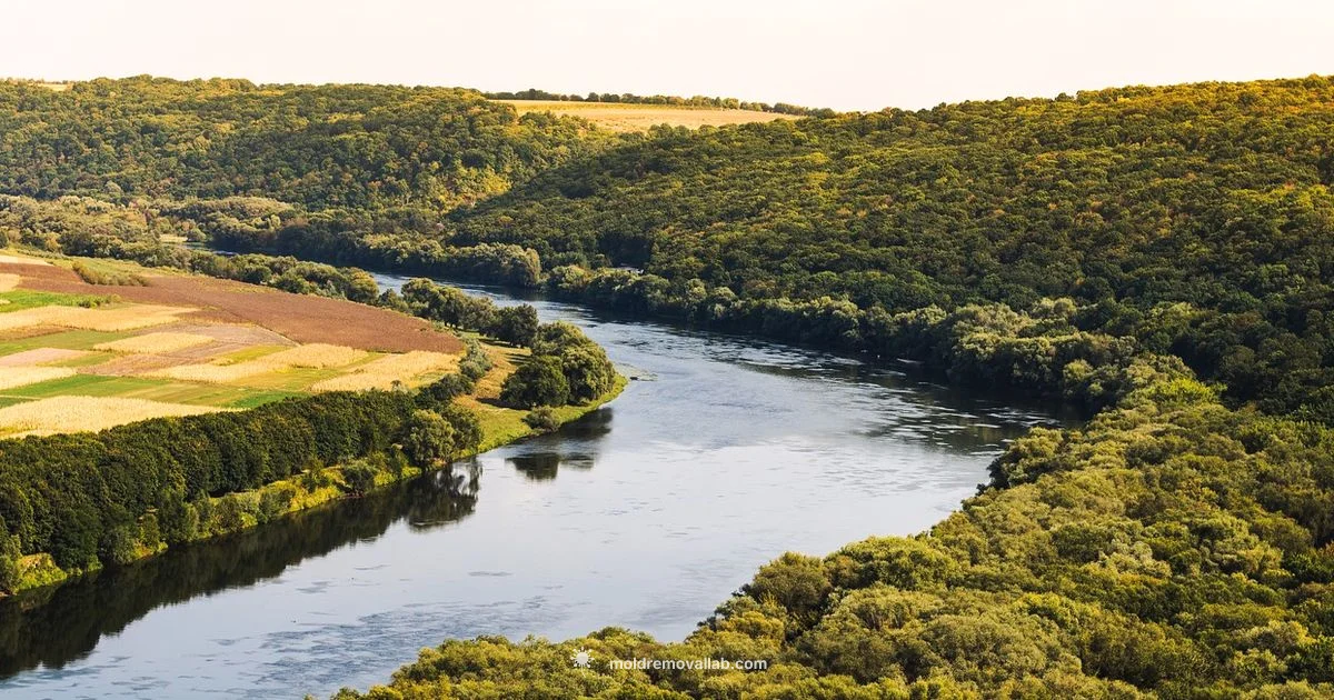 Moldova Highlights - Mold Removal Lab