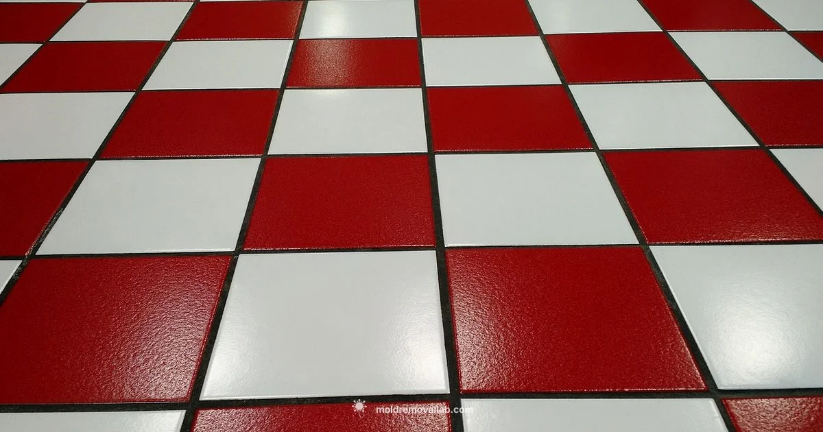 Tilex Mold Guide - Mold Removal Lab