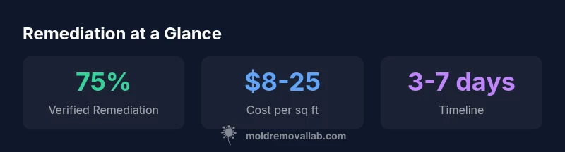 Infographic showing remediation cost, duration, and verification rates