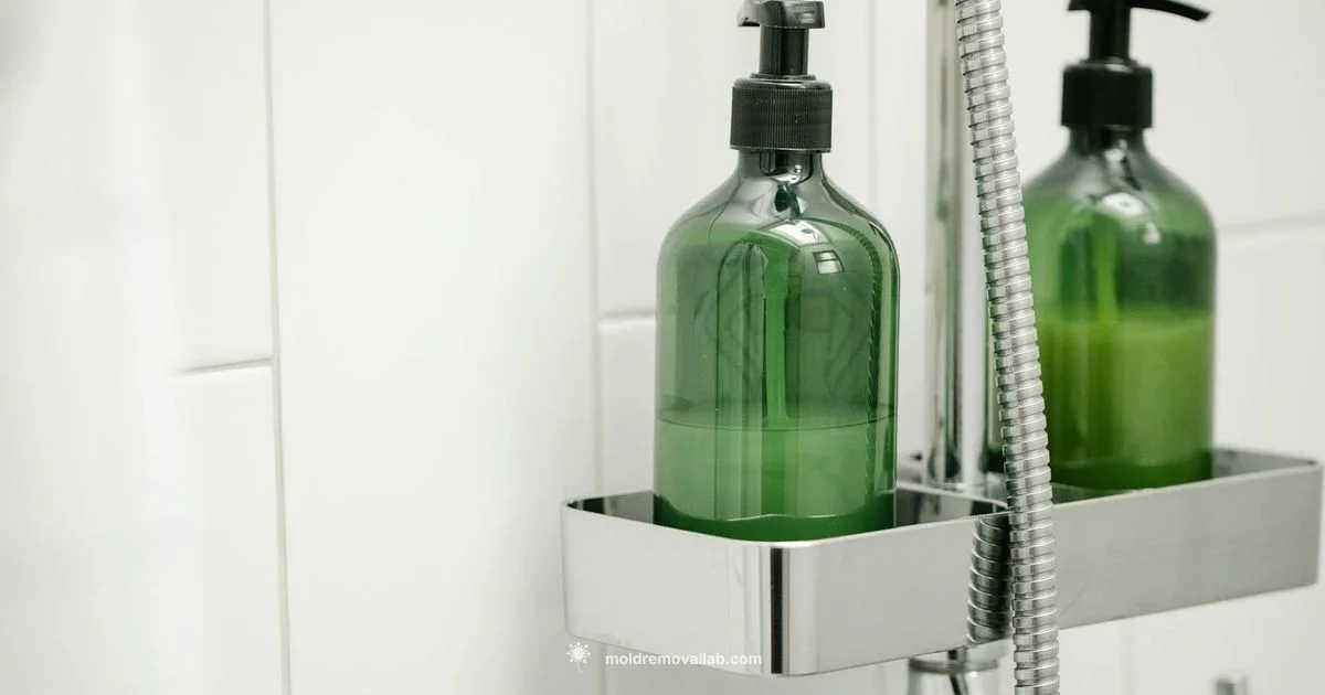 Mold Spray Guide - Mold Removal Lab
