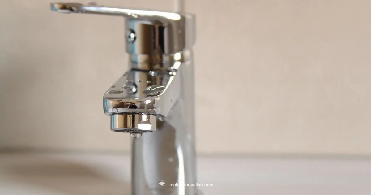 Bathroom Mould Guide - Mold Removal Lab