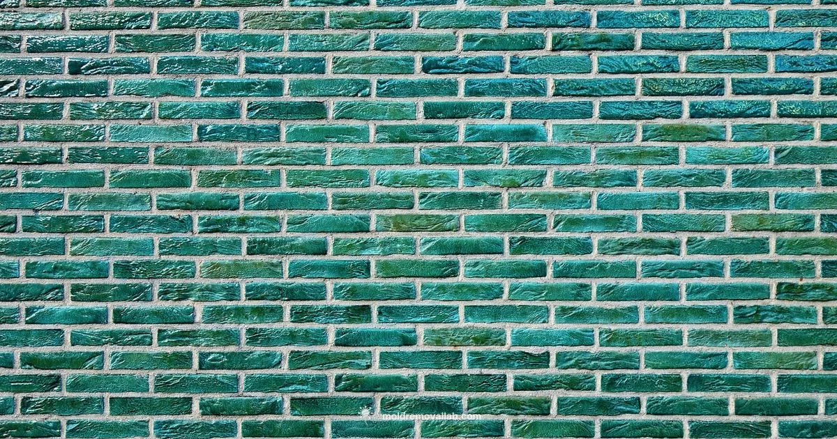 PVC Brick Moulding Guide - Mold Removal Lab
