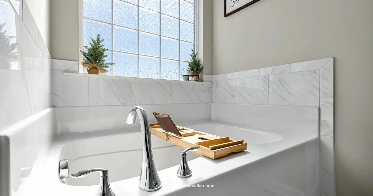 Natural Mold Removal - Mold Removal Lab