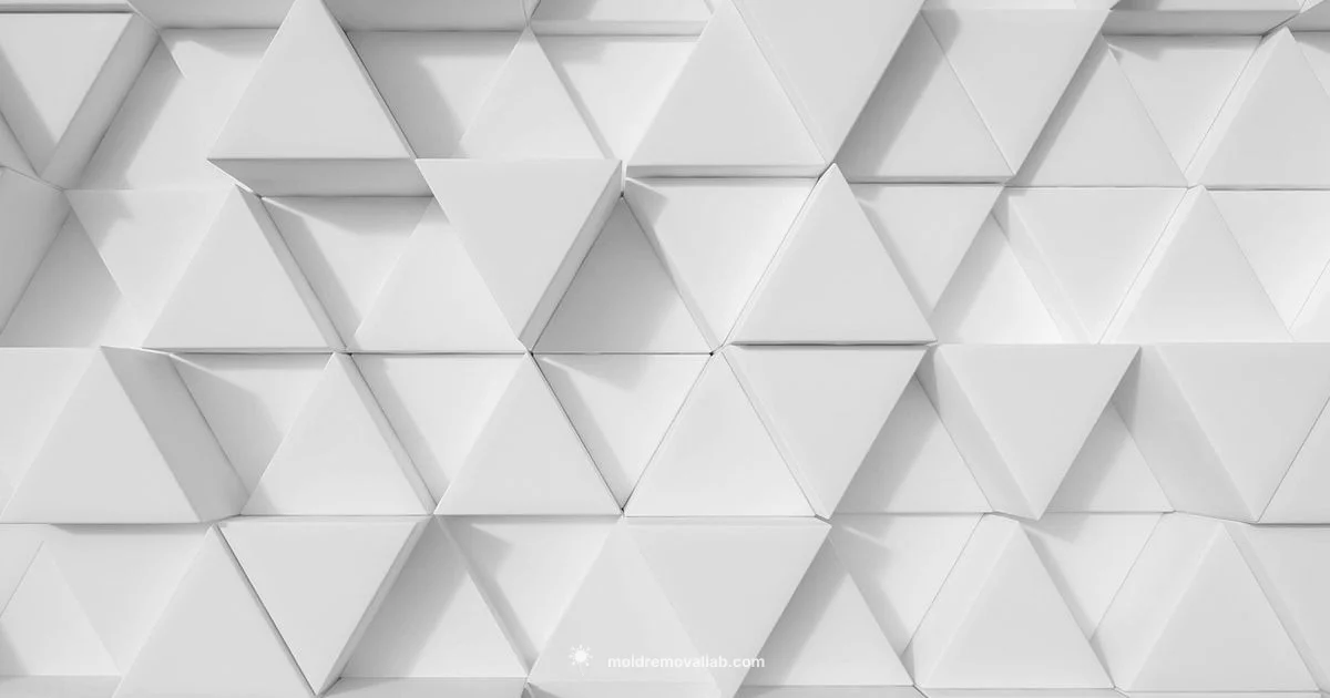 Wall Panel Moulding - Mold Removal Lab