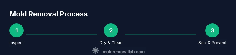 Infographic showing a 3-step mold removal process for wood surfaces