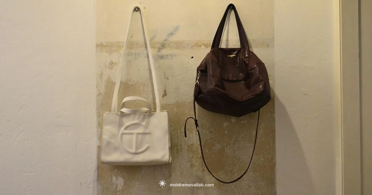 Mold Odor Defined - Mold Removal Lab