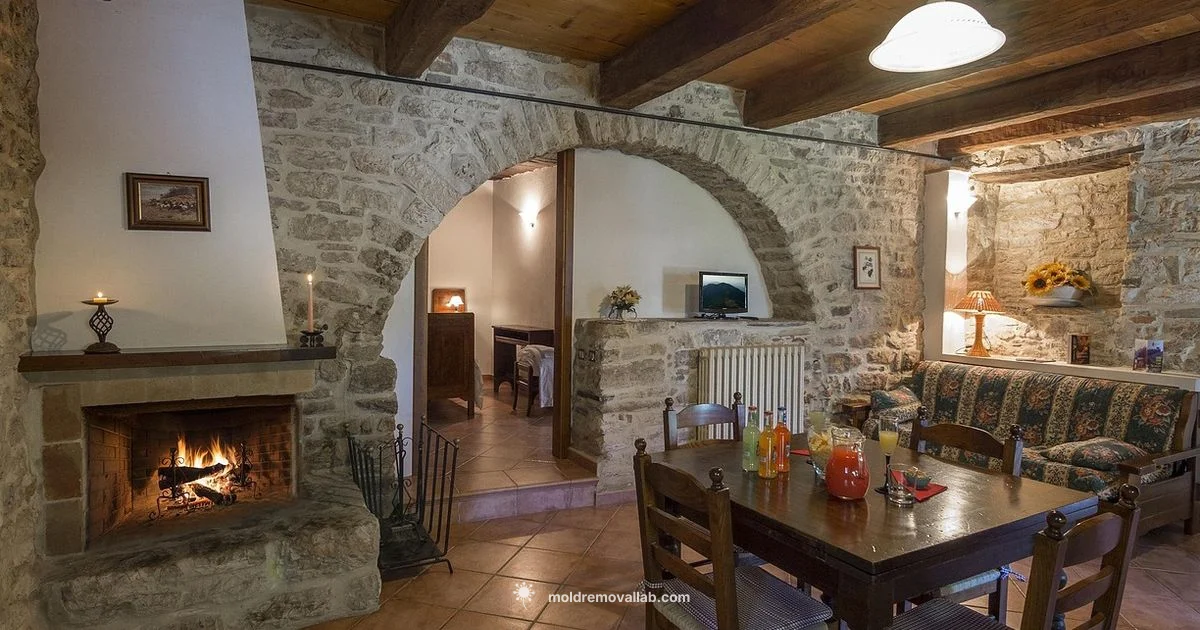 Mold Air Purifier Guide Mold Air Purifier Guide - Mold Removal Lab