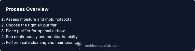 Process flow for using an air purifier to reduce mold