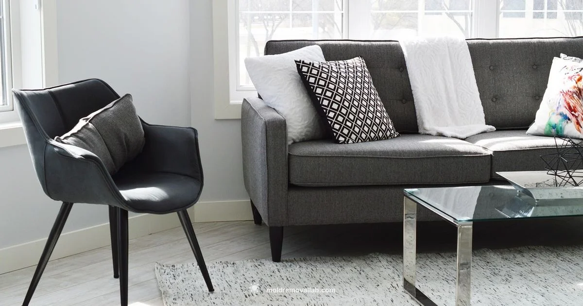 Mold Prevention Guide - Mold Removal Lab