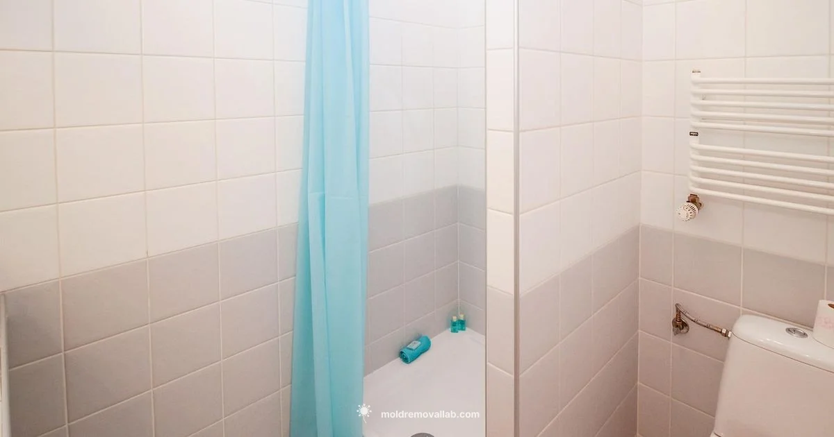 Shower Mold Removal - Mold Removal Lab