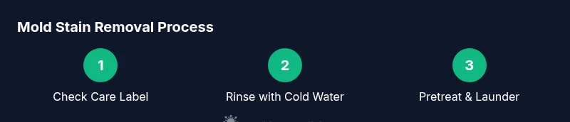 Infographic showing steps to remove mold stains from clothes