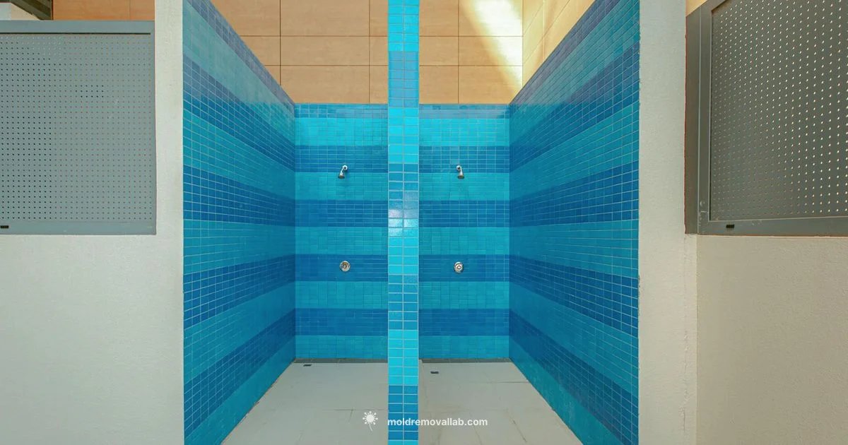 Shower Mold Removal - Mold Removal Lab