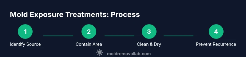 Process diagram showing steps for mold exposure treatments