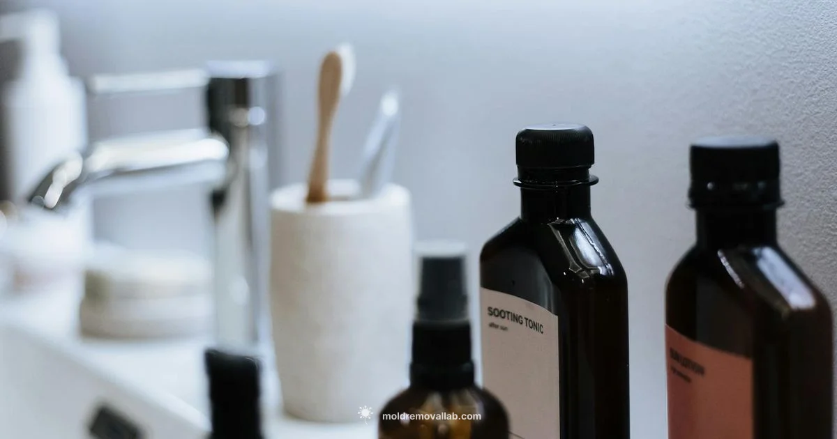 Mold Cleanup Essentials - Mold Removal Lab