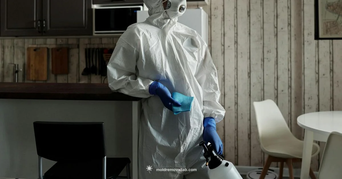 Mold Cost Guide Mold Cost Guide - Mold Removal Lab