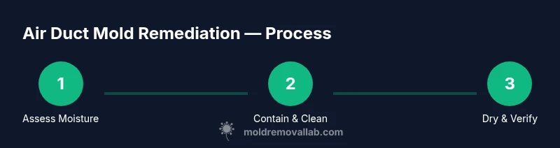 Infographic showing a 3-step process for removing mold from air ducts