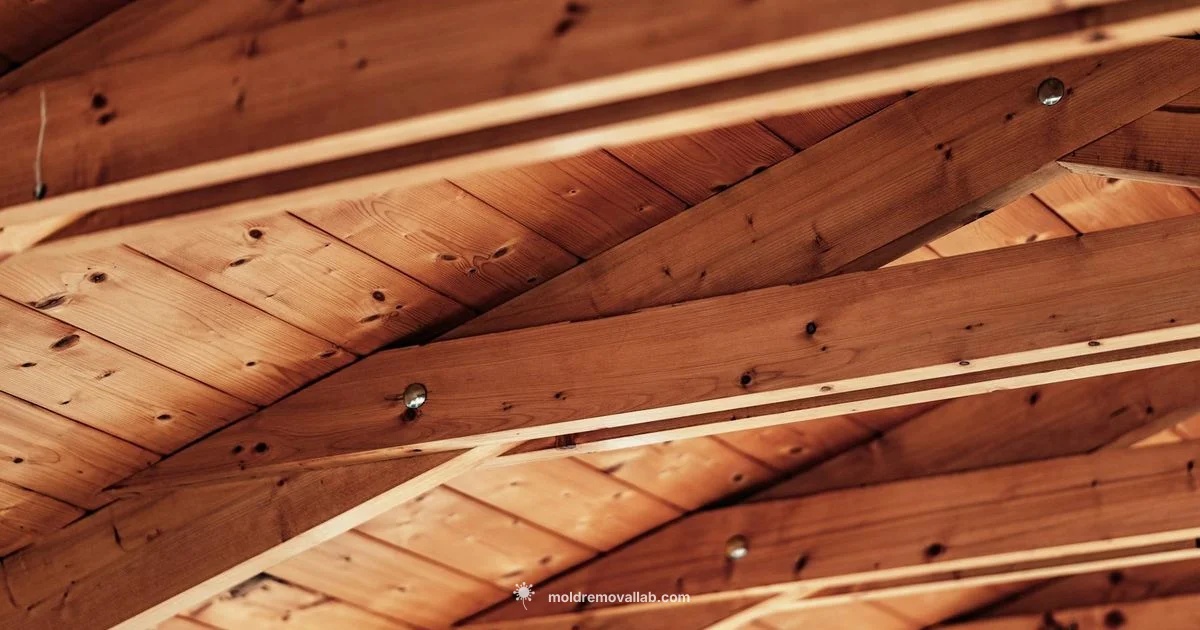 Kill Mold in Wood - Mold Removal Lab